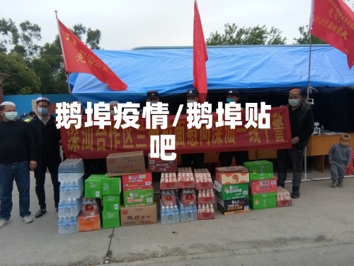 鹅埠疫情/鹅埠贴吧