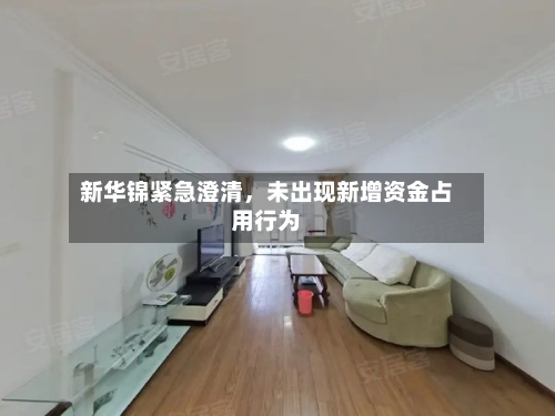 新华锦紧急澄清，未出现新增资金占用行为