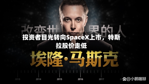 投资者目光转向SpaceX上市，特斯拉股价走低-第2张图片
