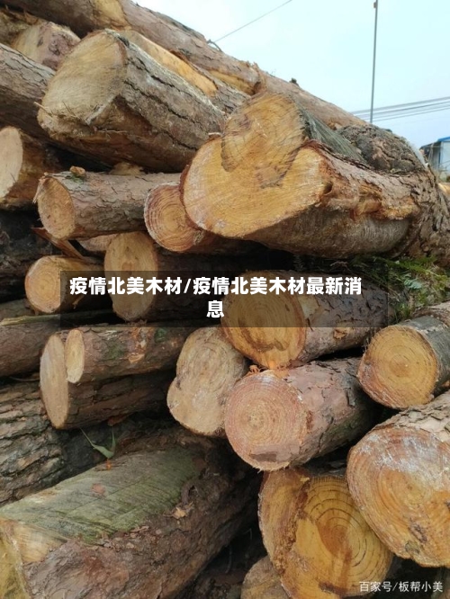 疫情北美木材/疫情北美木材最新消息-第3张图片