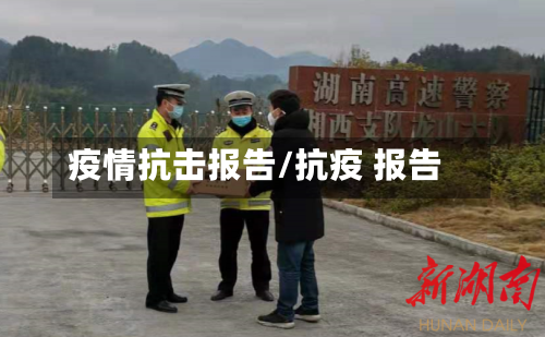 疫情抗击报告/抗疫 报告