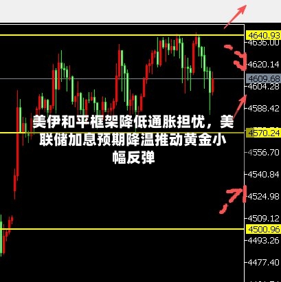 美伊和平框架降低通胀担忧	，美联储加息预期降温推动黄金小幅反弹-第2张图片
