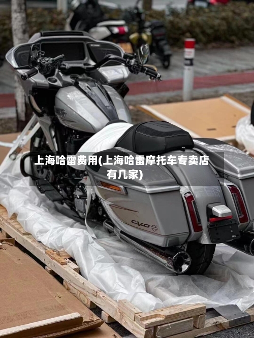 上海哈雷费用(上海哈雷摩托车专卖店有几家)-第2张图片
