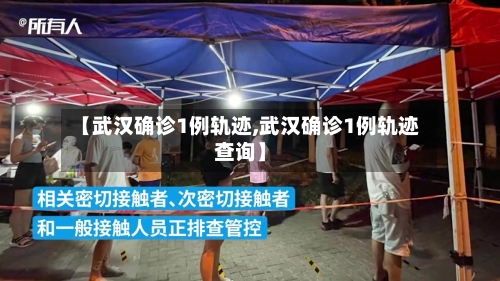 【武汉确诊1例轨迹,武汉确诊1例轨迹查询】-第3张图片