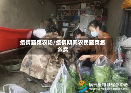 疫情蔬菜农场/疫情期间农民蔬菜怎么卖-第3张图片