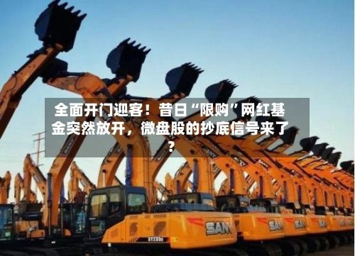 全面开门迎客！昔日“限购	”网红基金突然放开，微盘股的抄底信号来了？-第3张图片