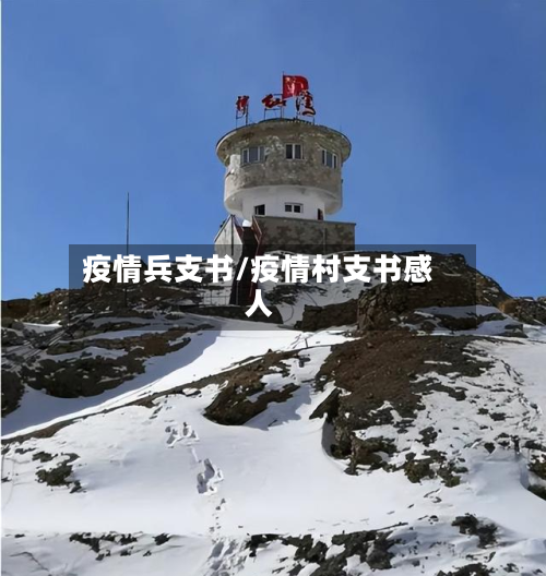 疫情兵支书/疫情村支书感人