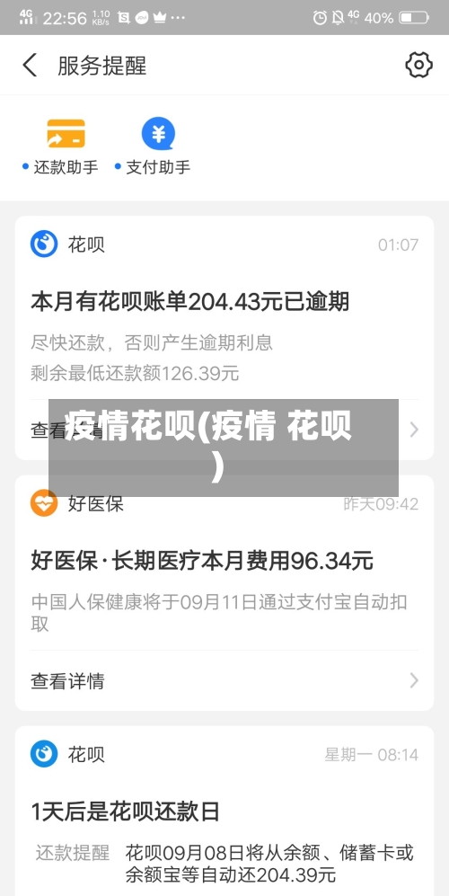 疫情花呗(疫情 花呗)