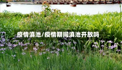 疫情滇池/疫情期间滇池开放吗