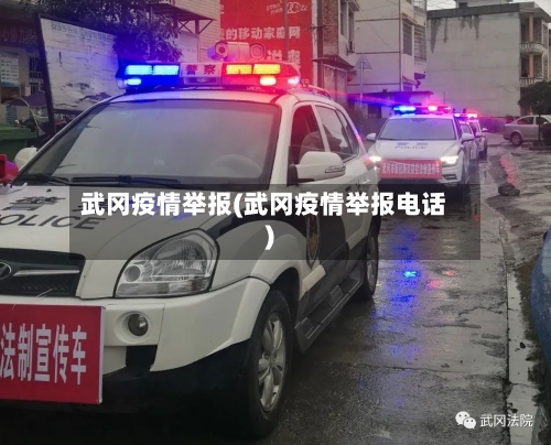 武冈疫情举报(武冈疫情举报电话)