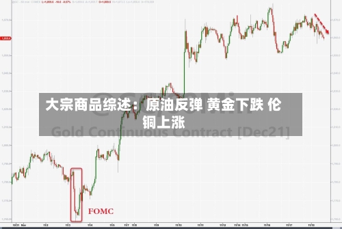 大宗商品综述:原油反弹 黄金下跌 伦铜上涨-第2张图片