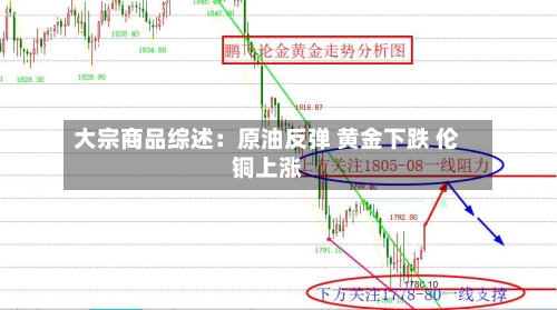 大宗商品综述:原油反弹 黄金下跌 伦铜上涨-第3张图片