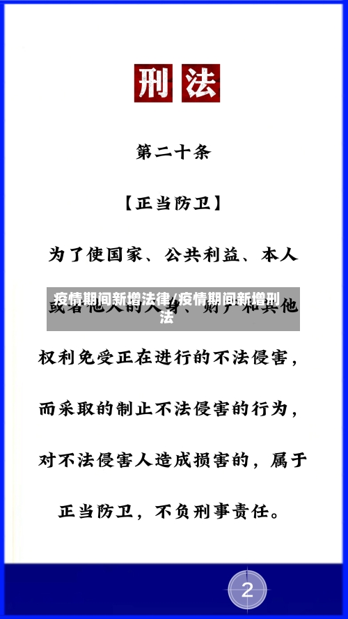 疫情期间新增法律/疫情期间新增刑法