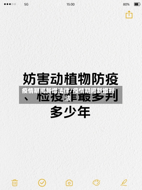 疫情期间新增法律/疫情期间新增刑法-第2张图片