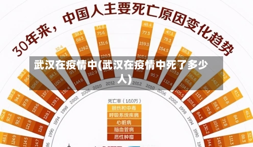 武汉在疫情中(武汉在疫情中死了多少人)-第2张图片