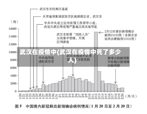 武汉在疫情中(武汉在疫情中死了多少人)