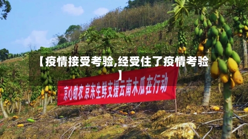 【疫情接受考验,经受住了疫情考验】