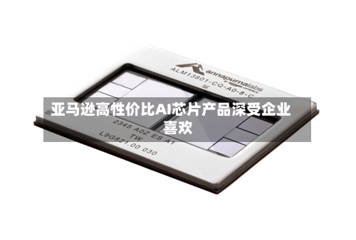 亚马逊高性价比AI芯片产品深受企业喜欢
-第2张图片