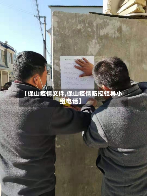 【保山疫情文件,保山疫情防控领导小组电话】
