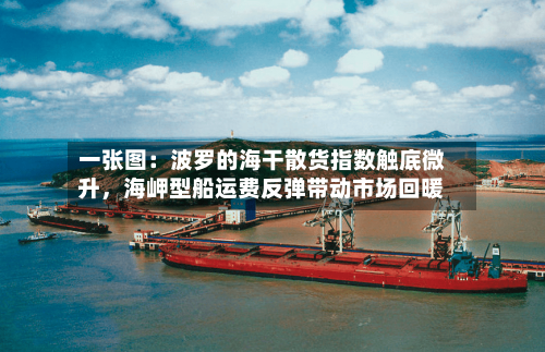 一张图：波罗的海干散货指数触底微升，海岬型船运费反弹带动市场回暖-第3张图片