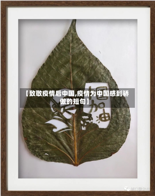 【致敬疫情后中国,疫情为中国感到骄傲的短句】