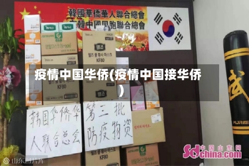 疫情中国华侨(疫情中国接华侨)-第2张图片