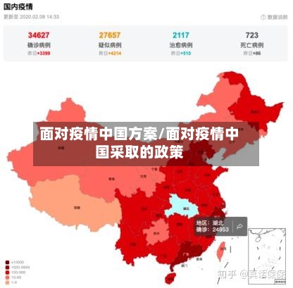 面对疫情中国方案/面对疫情中国采取的政策