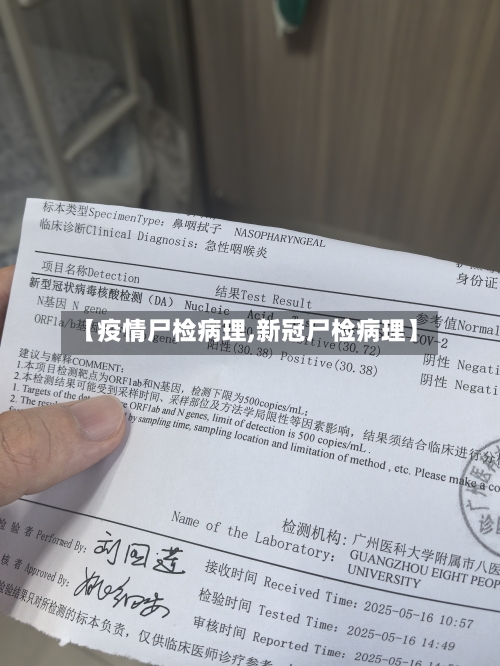 【疫情尸检病理,新冠尸检病理】-第2张图片