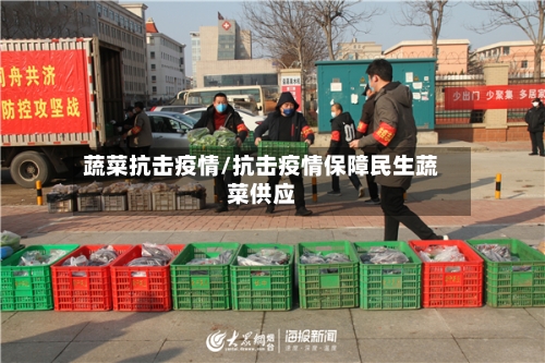 蔬菜抗击疫情/抗击疫情保障民生蔬菜供应