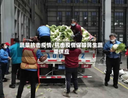蔬菜抗击疫情/抗击疫情保障民生蔬菜供应-第2张图片