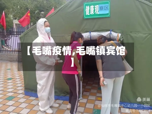 【毛嘴疫情,毛嘴镇宾馆】