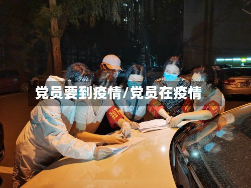 党员要到疫情/党员在疫情