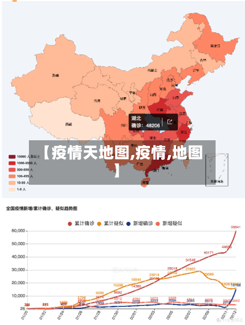 【疫情天地图,疫情,地图】-第3张图片