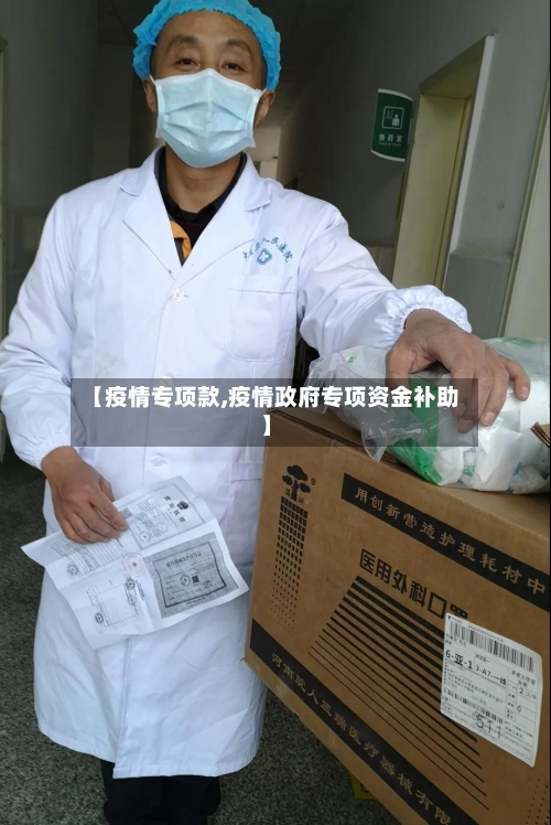 【疫情专项款,疫情政府专项资金补助】