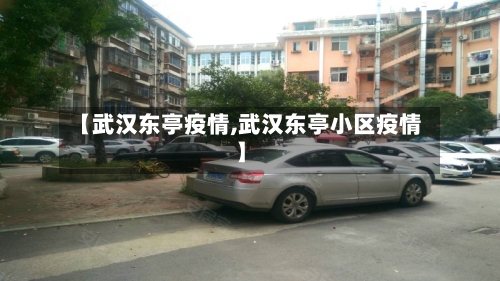 【武汉东亭疫情,武汉东亭小区疫情】