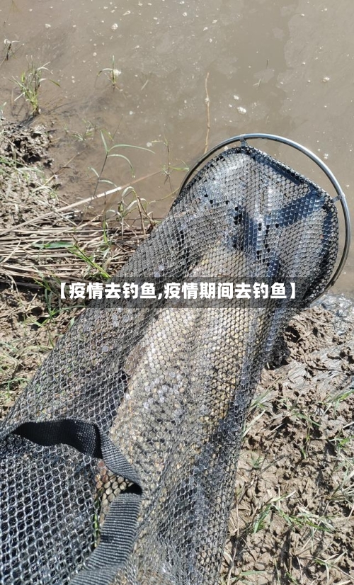 【疫情去钓鱼,疫情期间去钓鱼】