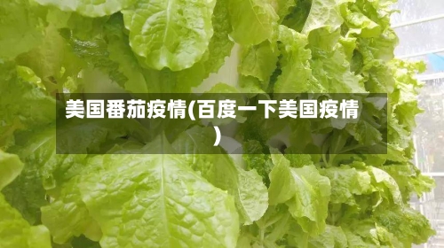美国番茄疫情(百度一下美国疫情)
