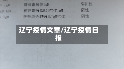 辽宁疫情文章/辽宁疫情日报