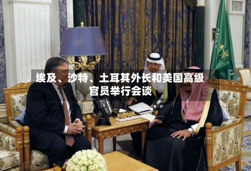 埃及、沙特、土耳其外长和美国高级官员举行会谈