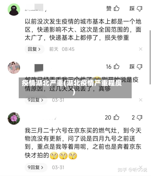 疫情湖北严重(湖北疫情严重程度)-第2张图片