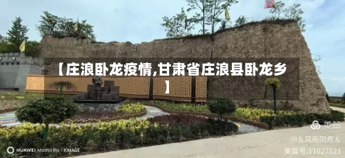 【庄浪卧龙疫情,甘肃省庄浪县卧龙乡】
