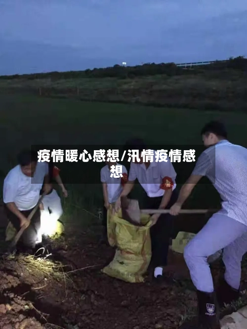 疫情暖心感想/汛情疫情感想