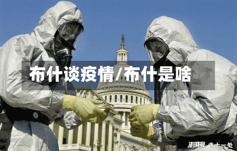布什谈疫情/布什是啥
