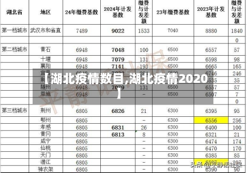 【湖北疫情数目,湖北疫情2020】-第2张图片
