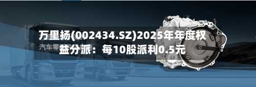 万里扬(002434.SZ)2025年年度权益分派：每10股派利0.5元-第1张图片