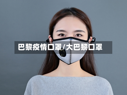巴黎疫情口罩/大巴黎口罩-第3张图片