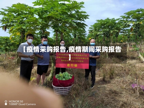 【疫情采购报告,疫情期间采购报告】-第2张图片