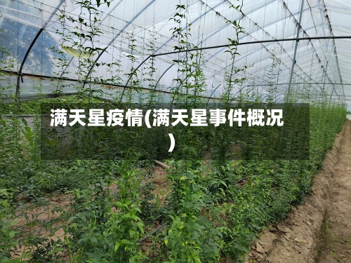 满天星疫情(满天星事件概况)-第2张图片