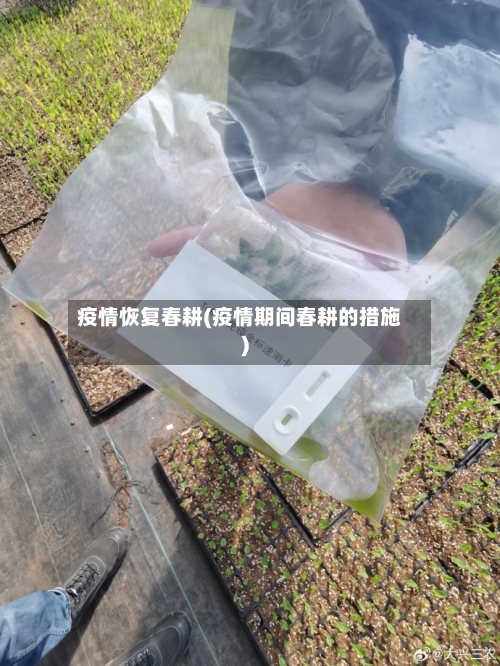 疫情恢复春耕(疫情期间春耕的措施)