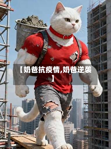 【奶爸抗疫情,奶爸逆袭】